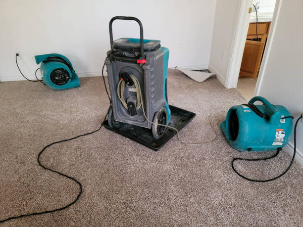 Water damage restoration process in IA