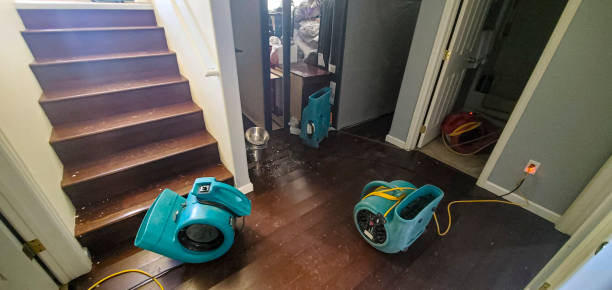 Best Water damage restoration mold remediation  in Ames, IA