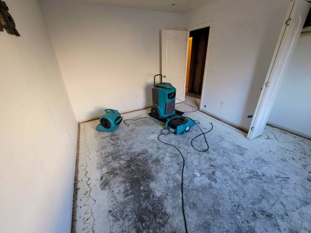 Best Basement water damage restoration  in Ames, IA