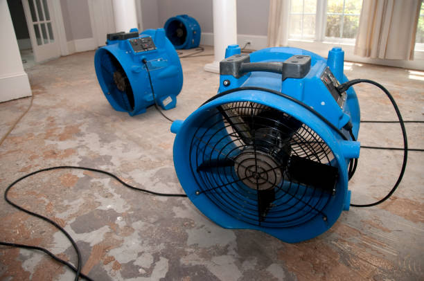 Best Fire Damage Restoration  in Ames, IA