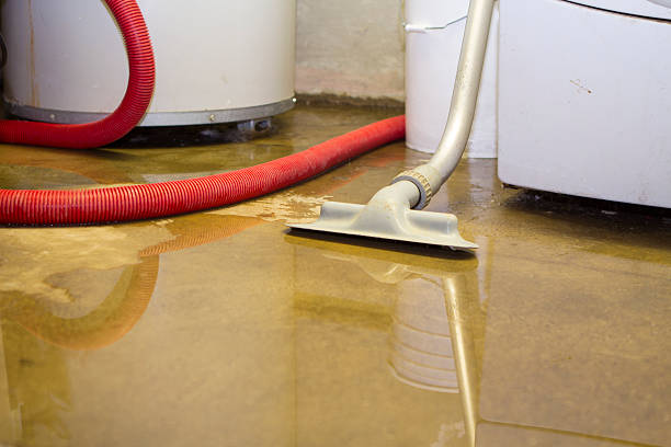 Best Sewage cleanup and water damage restoration  in Ames, IA