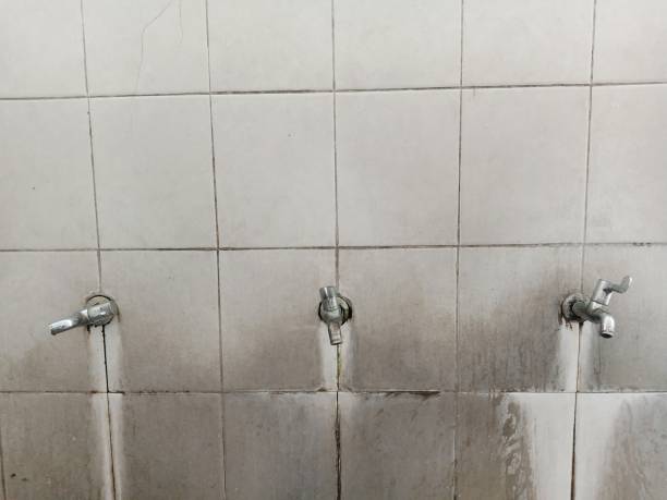 Best Basement water damage restoration  in Ames, IA