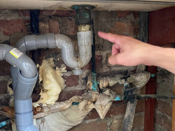 Best Flood restoration services  in Ames, IA