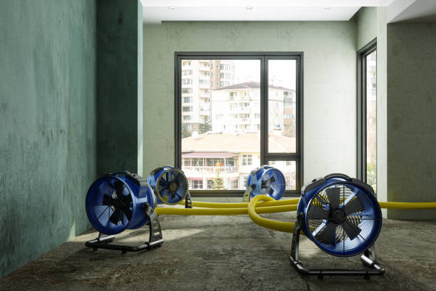Best Fire Damage Restoration  in Ames, IA