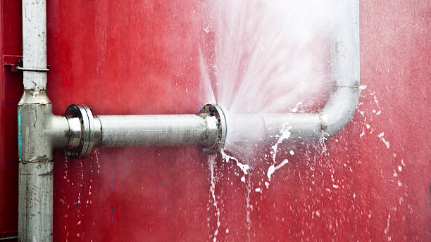 Best Professional water damage repair  in Ames, IA